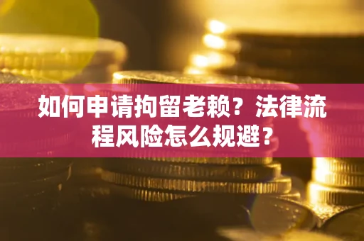 武汉如何申请拘留老赖？法律流程风险怎么规避？