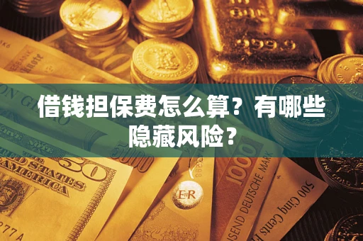 武汉借钱担保费怎么算？有哪些隐藏风险？