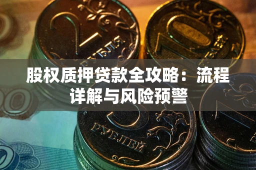 武汉股权质押贷款全攻略：流程详解与风险预警