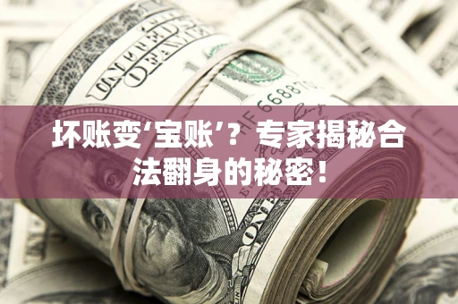 武汉坏账变‘宝账’？专家揭秘合法翻身的秘密！