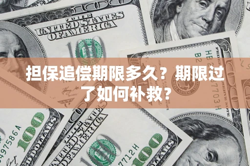 武汉担保追偿期限多久？期限过了如何补救？