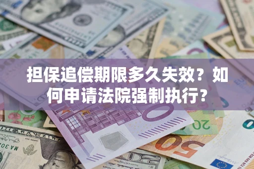 武汉担保追偿期限多久失效？如何申请法院强制执行？