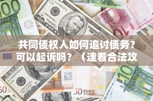 武汉共同债权人如何追讨债务？可以起诉吗？（速看合法攻略）