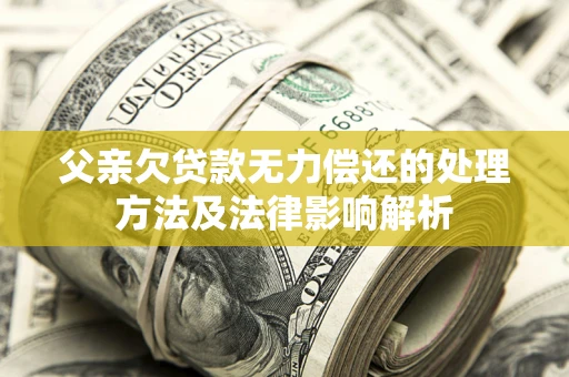 武汉父亲欠贷款无力偿还的处理方法及法律影响解析